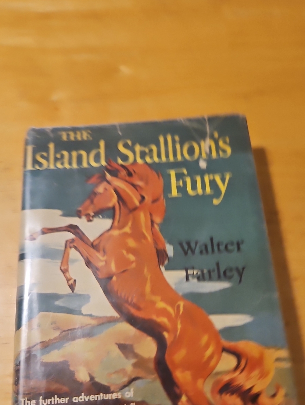 The Island Stallion's Fury by Walter Farley Hardcover Book Teal Blue